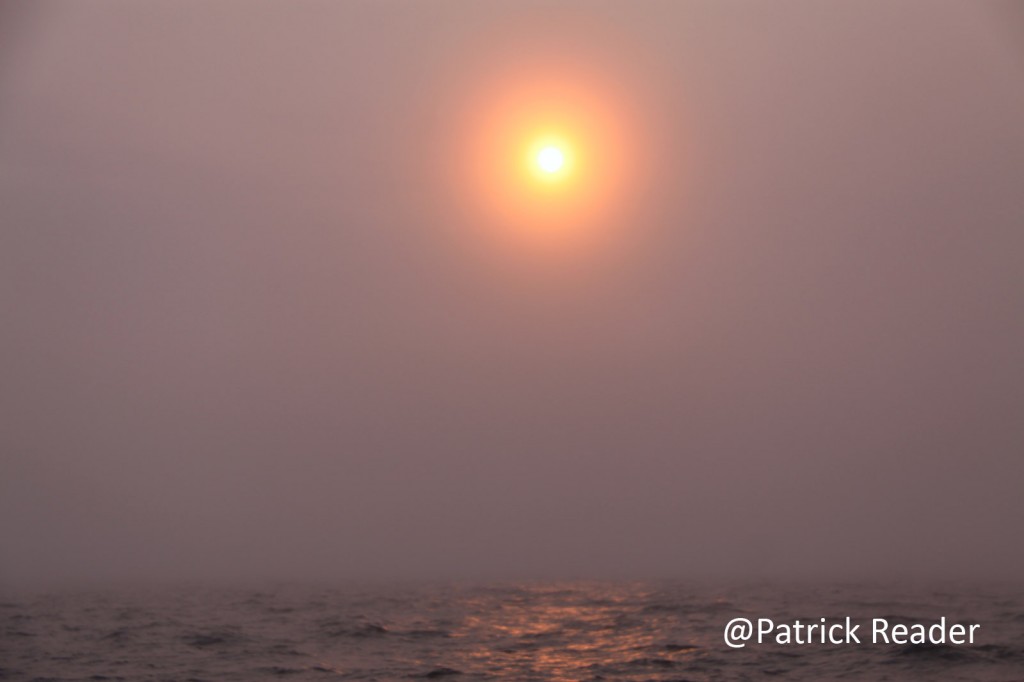 Patrick Reader Arctic fog