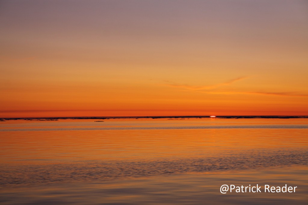 Patrick Reader soleil low
