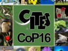 cop16_species_collage_x