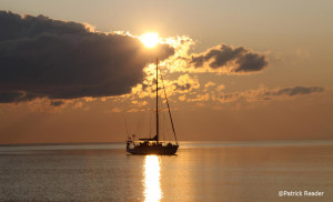 于这里查阅极地天气!