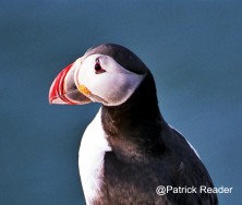 Promouvoir Votre Projet Polaire & Green!