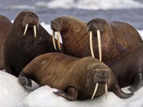 Héeeee! Réveillons nous! 