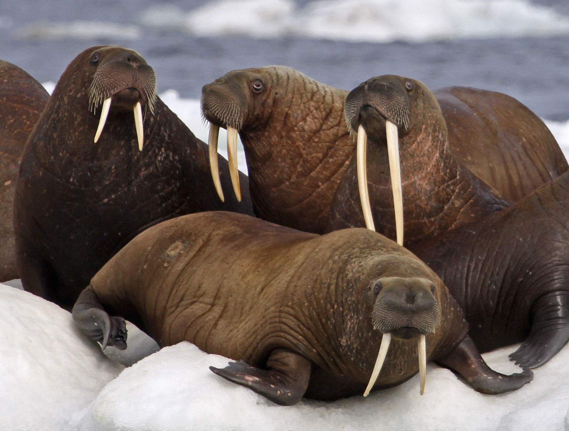 Hééééé! Let’s Wake Up! 