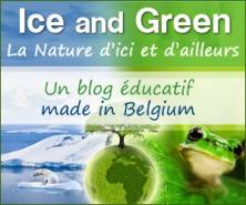 欢迎来到 Ice and Green！