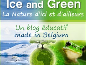 Welcome to Ice and Green!