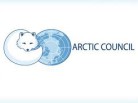 arctic council