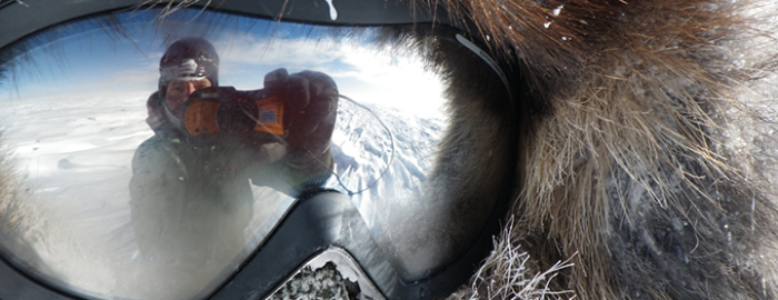 AAICE-FACES-3-700x270