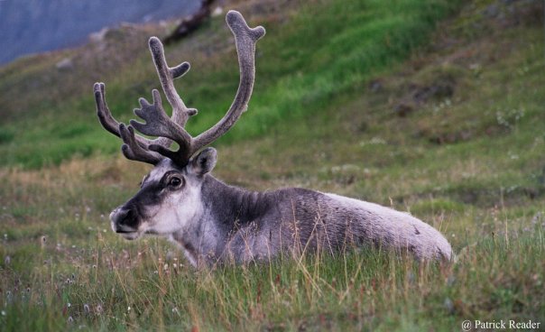 377597_10151310168872406_1603249823_n