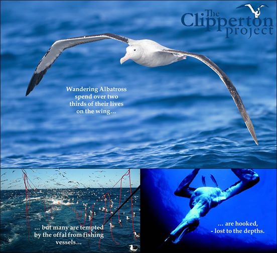 1538914_680285608689958_1996522718_n