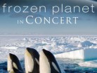 frozen planet in concert