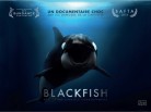 blackfish