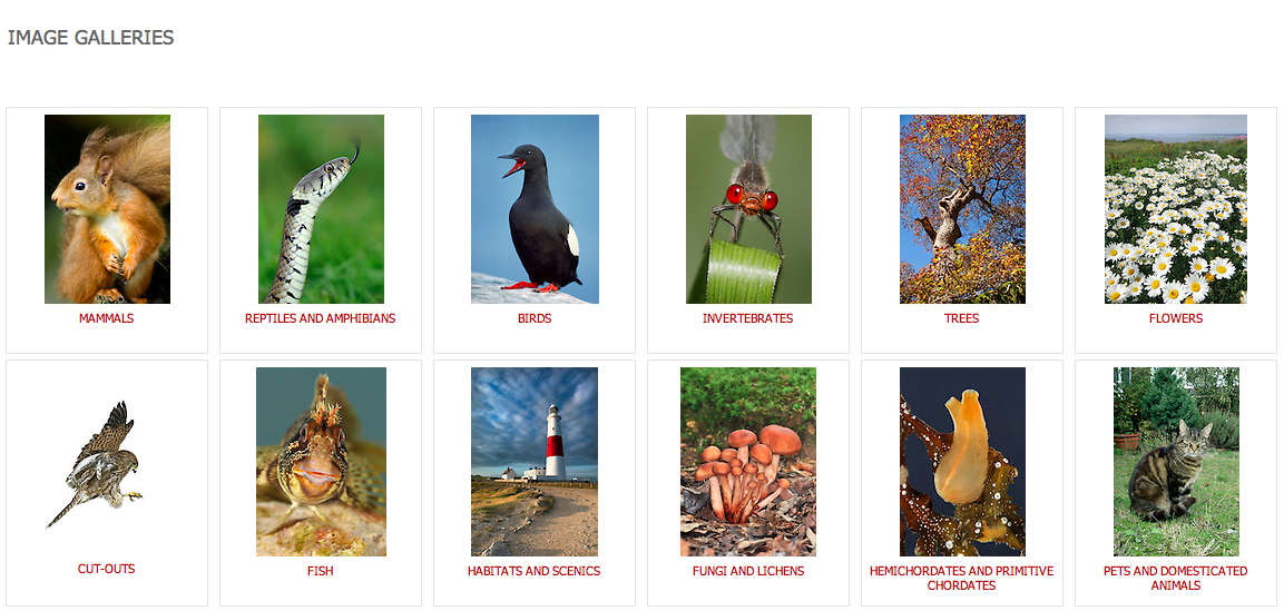 Capture d’écran 2014-08-08 à 17.48.09