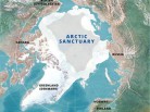 greenpeace save the arctic