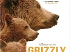 Affiche-Grizzly-445x593