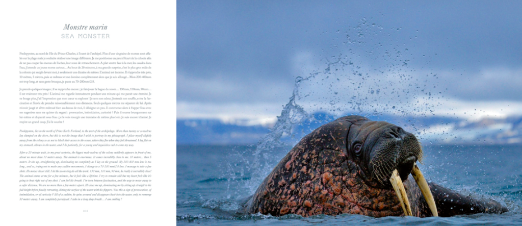 Capture d’écran 2014-11-29 à 08.24.34