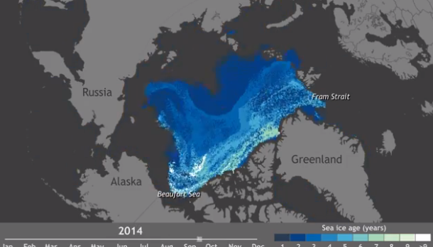 arctic sea ice - banquise arctique - arctic ocean - bye bye the arctic - polar bears