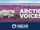 arctic voices - arctic exhibition - canada musuem