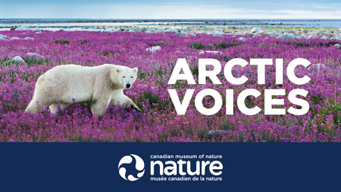 arctic voices - arctic exhibition - canada musuem