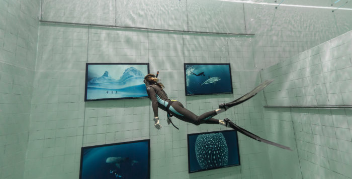 fred buyle, uccle, nemo 33, exposition photo, belge, plongée, apnée, piscine, bruxelles, nemo, requin, poisson, nageur, hobby, photographie de plongée, diving