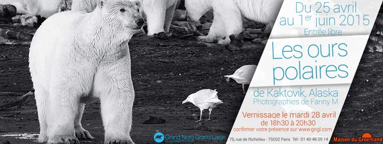 fanny maillard, les ours polaires de Kaktovik, île aux ours, arctic05 news, ours polaires, expo sur les ours, photographie d'ours, barter island, baleine, polar bears, the arctic, arctic bear, images d'ours, le roi de l'arctique, faune polaire