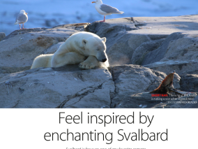 Feel inspired by Svalbard! 