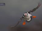 Alamy, http-::www.alamy.com:, puffin, bird photographer of the year, photo competition, ornithology