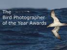 Bird photography of the Year, photo competition, arctic05, paul sterry, andrew cleave, birds lovers, ornithology, oiseaux, photos d'oiseau, concours photo, images d'oiseaux
