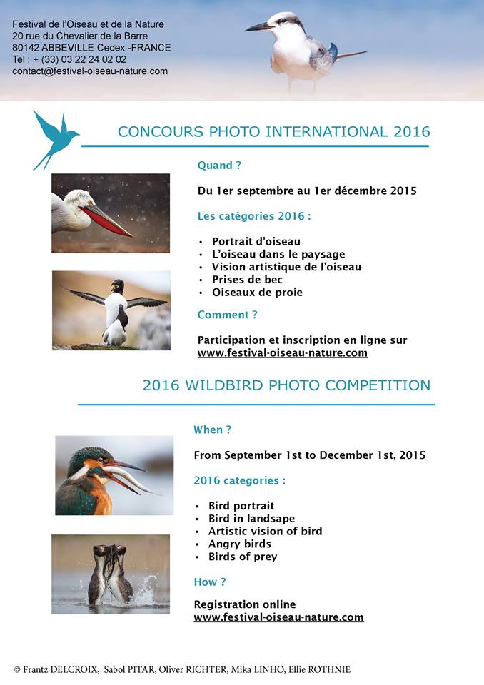 Festival de l'Oiseau et de la Nature, Baie de Somme, bird photographer competition, France, beautiful birds pictures, photo contest, image de Nature, photos d'oiseaux, photo contest