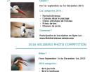 Festival de l'Oiseau et de la Nature, Baie de Somme, bird photographer competition, France, beautiful birds pictures, photo contest, image de Nature, photos d'oiseaux, photo contest