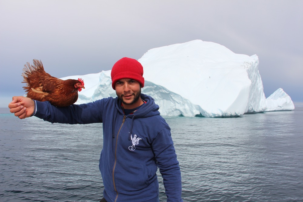 Guirec-et-monique, voyagedyvinec, tour du monde, poule, une poule en arctique, voile en arctique, groenland, upernavik, france, voile polaire