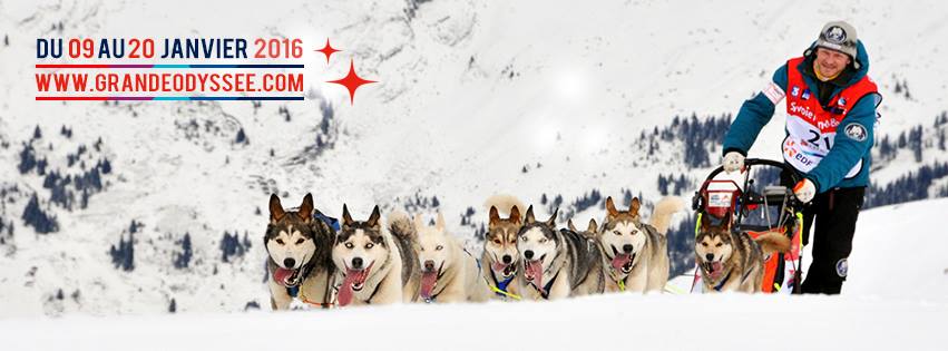 La Grande Odyssée 2016, chiens de traîneaux, alaskian, alpes françaises, nicolas vanier, French Alpes, arctic05, dogs and snow, aventure, l'homme et les chiens, musher
