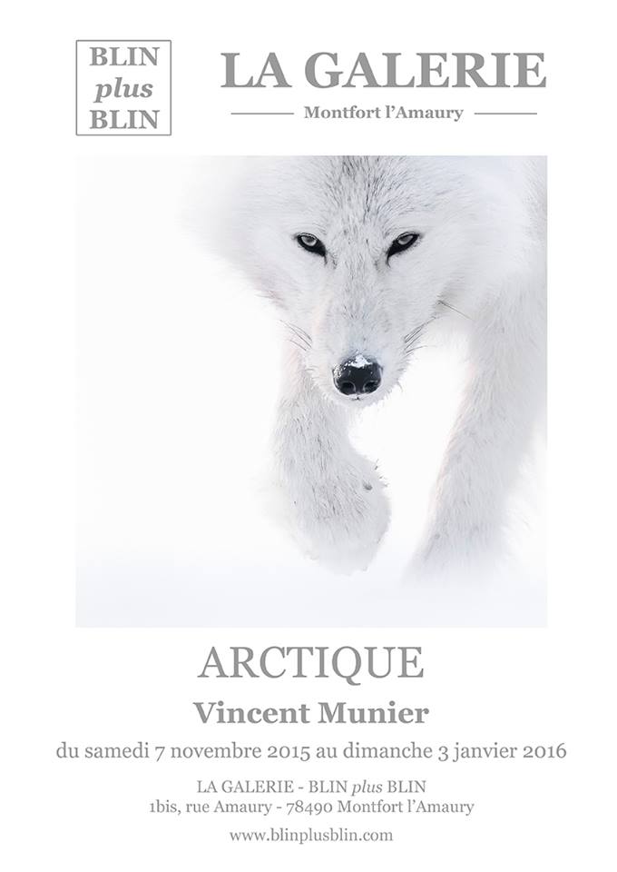 vincent Munier, livre polaire, arctique, grand nord, faune et flore polaire, pôle nord, exposition polaire, arctic05, arctic news, polar book