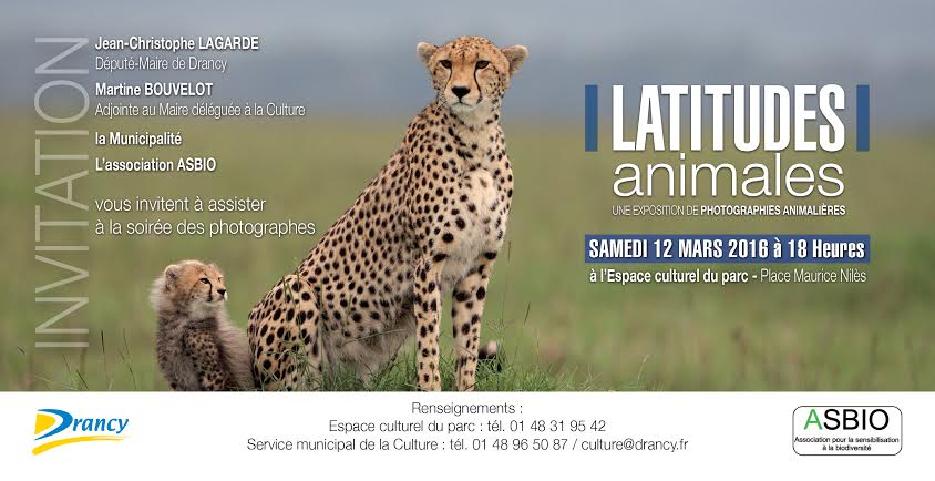 Drancy, France, Benoist Clouet, photographie animalière, photos polaires, 80° Nord, Svalbard pictures, arctic05, ours, iceberg, banquise, photographes français, nature, léopard, superbes images