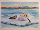 Nanouk, baby girl name, Bienvenida Nanouk Reader, Arctic05, Inuit, girls name, prénom fille, ours polaire, 欢迎,polar bear, arctic4ever, ice, seal, puffin, nature