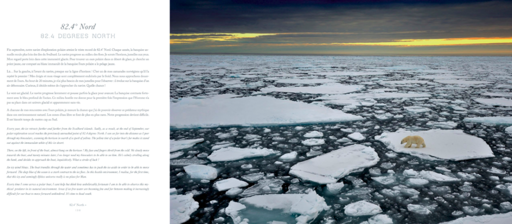 benoist clouet, arctic, spitzberg, polar bear, arctic05, 80°Nord, svalbard, ours polaire, banquise, glaces, arctic wildlife, walrus,