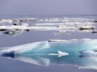 Patrick Reader photographer, arctic news, arctic05, pack-ice, banquise, océan arctique, ours, canada, usa, russie, greenland, norway, ice, polar bears, nature protection