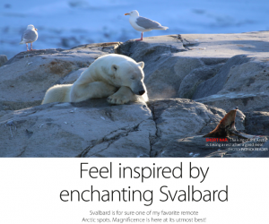 Patrick-Reader-Svalbard-Arctic-expert-polar-bears-spizbergendolphins-wildlife-photographer-the-arctic-lArctique-feel-inspired-arctic-beauties-arctic-flora-walrus-arctic05-arctic-news-arctic4ever
