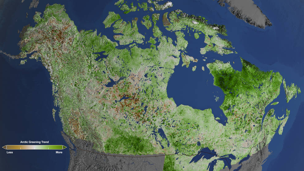 NASA et l'Arctique, Toundra, NASA Studies Details of a Greening Arctic, Goddard Space Flight Center, Cindy Starr, Quebec, Labrador, Canada, Alaska, Nunavut