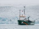 Greenpeace Arctic Sunrise, Save the Arctic, Sauvons l'Arctique, Arctic Ocean, Plastic, Polar Bears, Iceberg, melting sea ice, Nature conservation, Arctic05