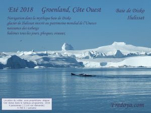 voilier en acier Fredoya, découverte du groenland à la voile, été 2018, baie de disko, baleine, icebergs, ilulissat, unesco, phoques, oiseaux, upernavik, uummannaq, croisière