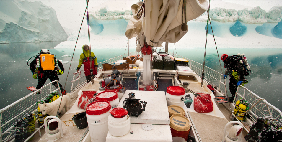voilier polaire aluminium, WHY, Under the pole, exploration sous-marine, plongée, arctique, voile, goélette, diving, antarctique, arctic05, plongeur, dauphins, baleines, glace, expédition polaire