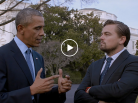 Leonardo DiCaprio, Before the Flood, Climate change, Barack Obama, Avant le déluge, Arctic05, Martin Scorsese, National Geographic, Arctic4Ever, Nature, Act Now
