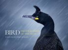 Photographie, Bird Photographer of the Year 2016, bird pictures, international bird photographer competition, BTO, Paul Sterry, Andrew cleave, arctic05, book, ornithology, bird wildlife
