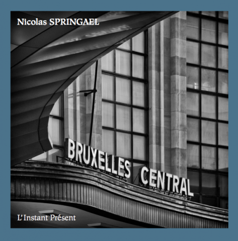 Nicolas Springael, Bruxelles, Livre, Bruxelles Central, L'Instant Présent