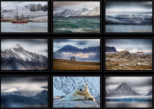 Nicolas Springael, Photographie, Images Svalbard, Spitzbergen, Arctic05, Bruxelles, Gallerie Photos, Le Sablon, L'Instant Présent
