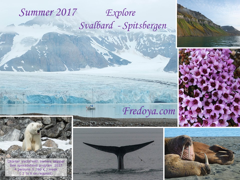 Fredoya, Summer 2017, Svalbard, Spitzbergen, expédition polaire, Arctic05, la voile au Groenland, Passage du Nord-Ouest, video polaire