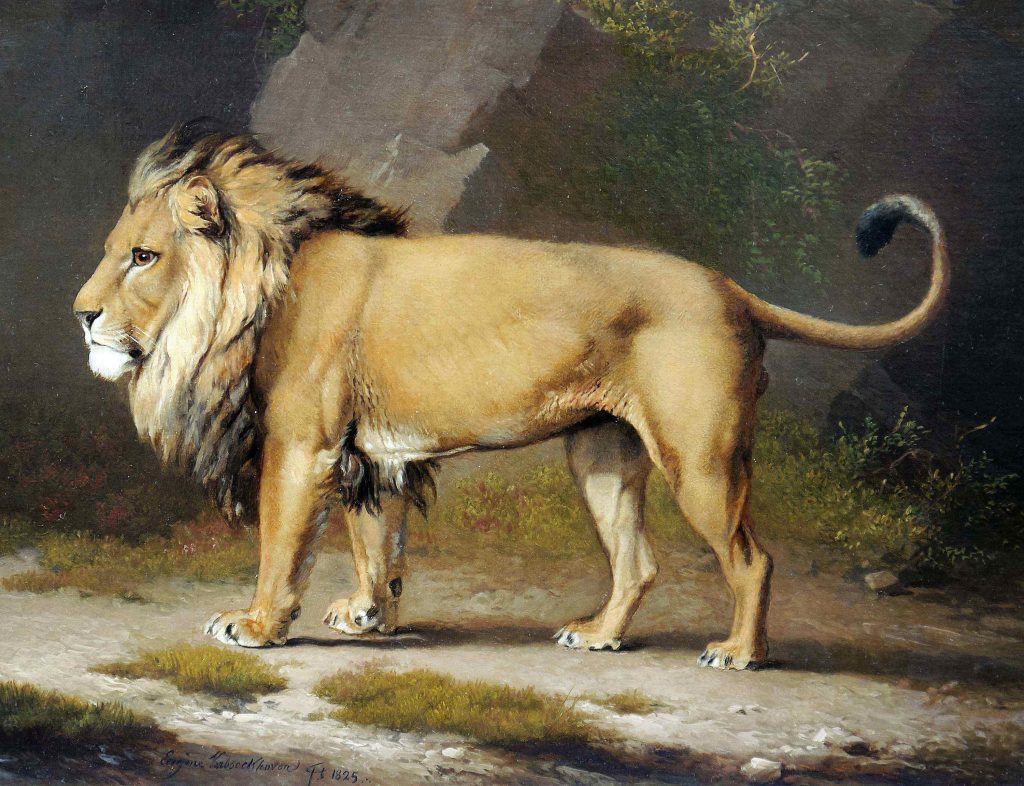 Lion painting, Brafa Art Fair, Arctic05, peinture animalière, Eugène Verboeckhoven, Belgium, Brussels, Philippe Heim, lion d'Afrique