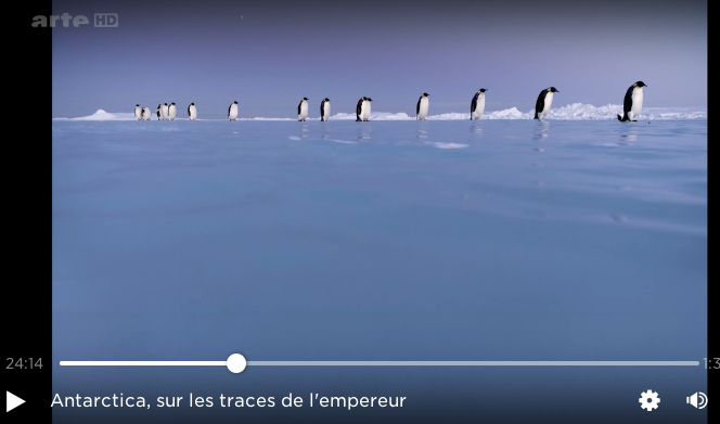 Luc Jacquet, arte future, manchot empereur, banquise, film antarctique, pôle sud, dérèglement climatique, Antarctica, sur les traces de l'empereur, arctic05