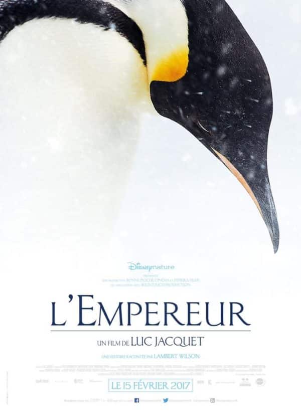 Disneynature, l'empereur, antarctique, film documentaire français, luc jacquet, la marche de l'empereur, arctic05, cinéma, banquise, glace, climat, pôle sud