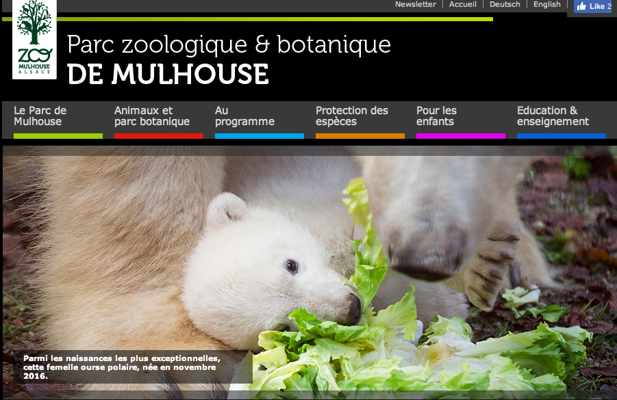Mulhouse France, ours polaire, parc zoologique de Mulhouse, ourson, naissance de Nanuq, zoo, Arctic05, vidéo ours, Grand Nord, soigneur, vétérinaire, programme de protection des animaux, captivité, botanique